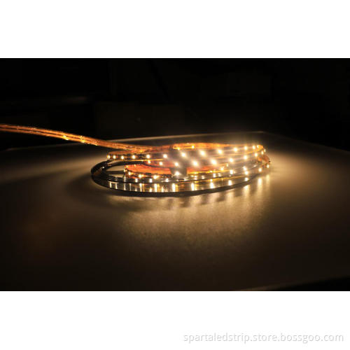 IP20 Not Waterproof LED Strip Light 3528 China led strip light DC12v/DC24v working voltage
